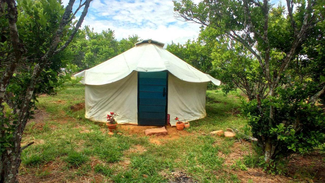 La Pacha Hostel 巴里查拉 外观 照片