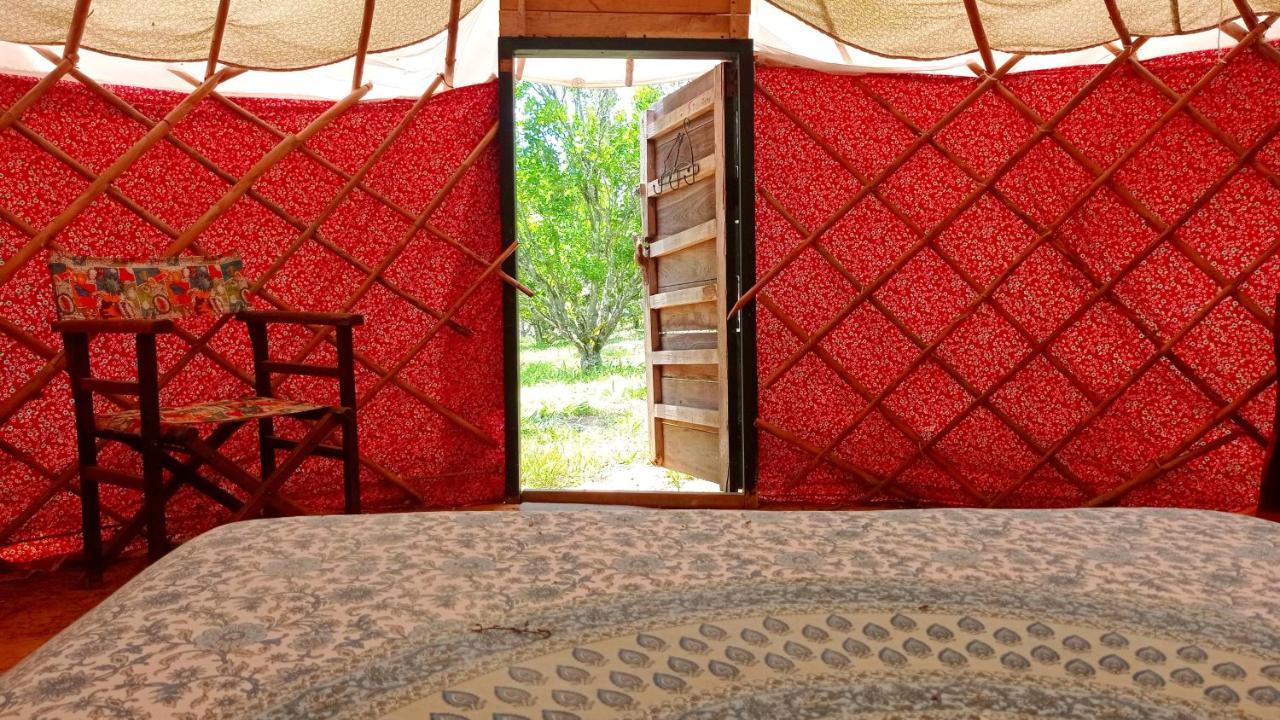 La Pacha Hostel 巴里查拉 外观 照片